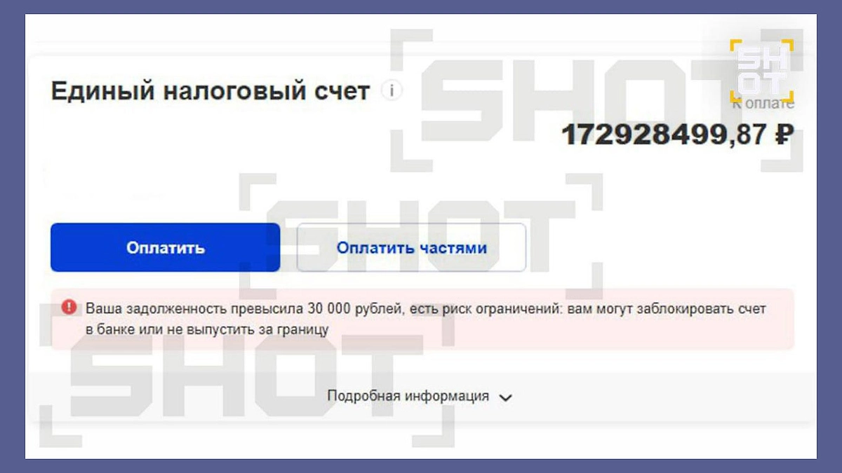 ФНС требует признать блогера Лерчек банкротом из-за долга в 173 млн рублей. Фото © SHOT