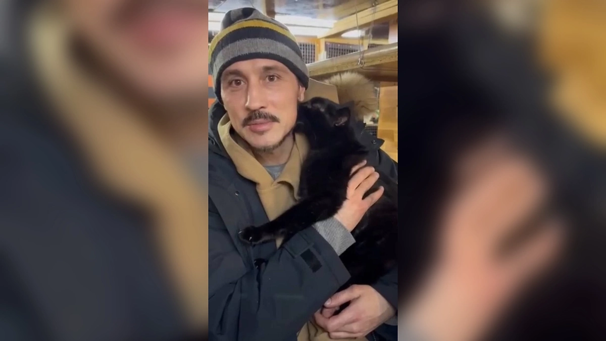 Дима Билан с кошкой. Фото © kp.ru / Юлия Андриенко