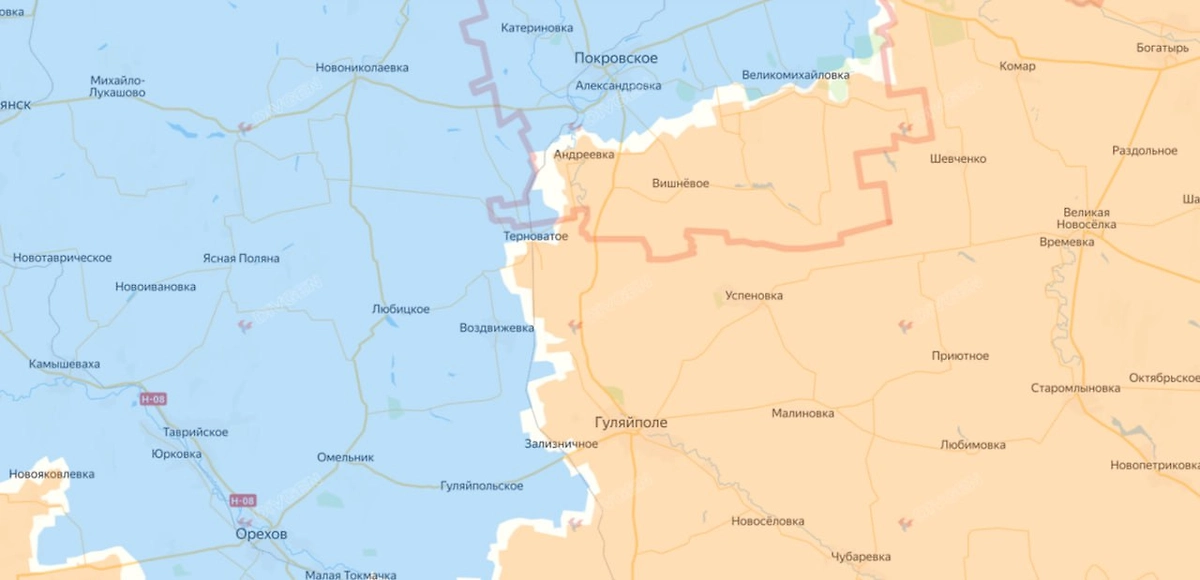 Карта СВО на 10 февраля 2026 года. Армия России удерживает позиции у Гуляйполя, опровергая заявления о наступлении ВСУ. Фото © divgen