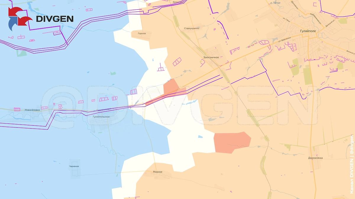 Карта СВО на 15 марта 2026 года. ВС РФ продвинулись в сторону Гуляйпольского. Фото © Telegram / DIVGEN 🚩 Карта СВО