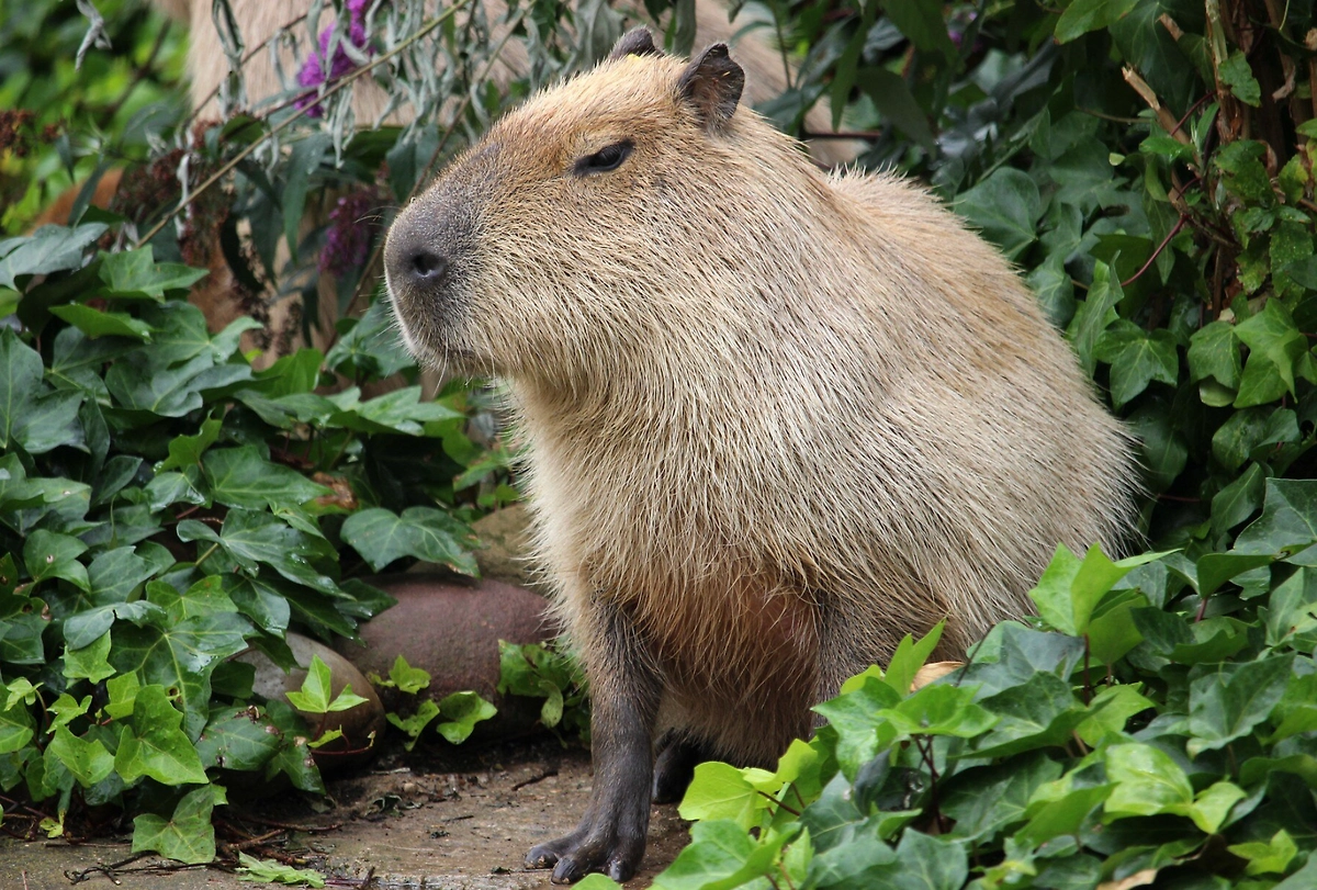 Обложка © freepik / wirestock