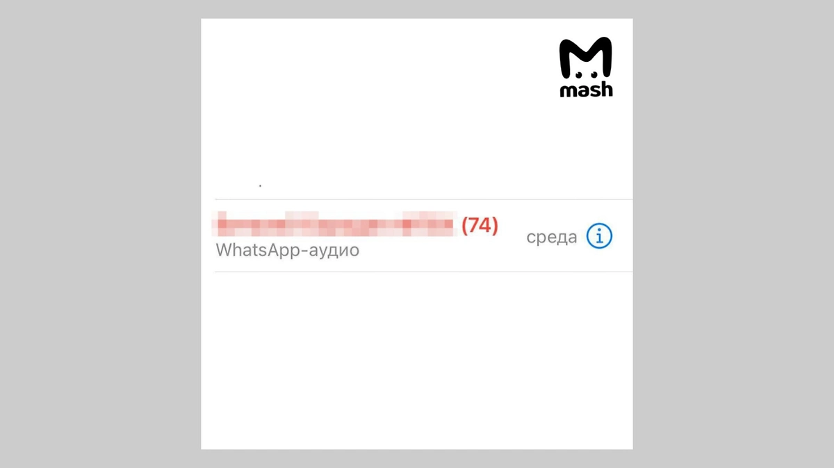 Пользователи WhatsApp* столкнулись с массовыми «фантомными» звонками по ночам. Фото © Telegram / Mash