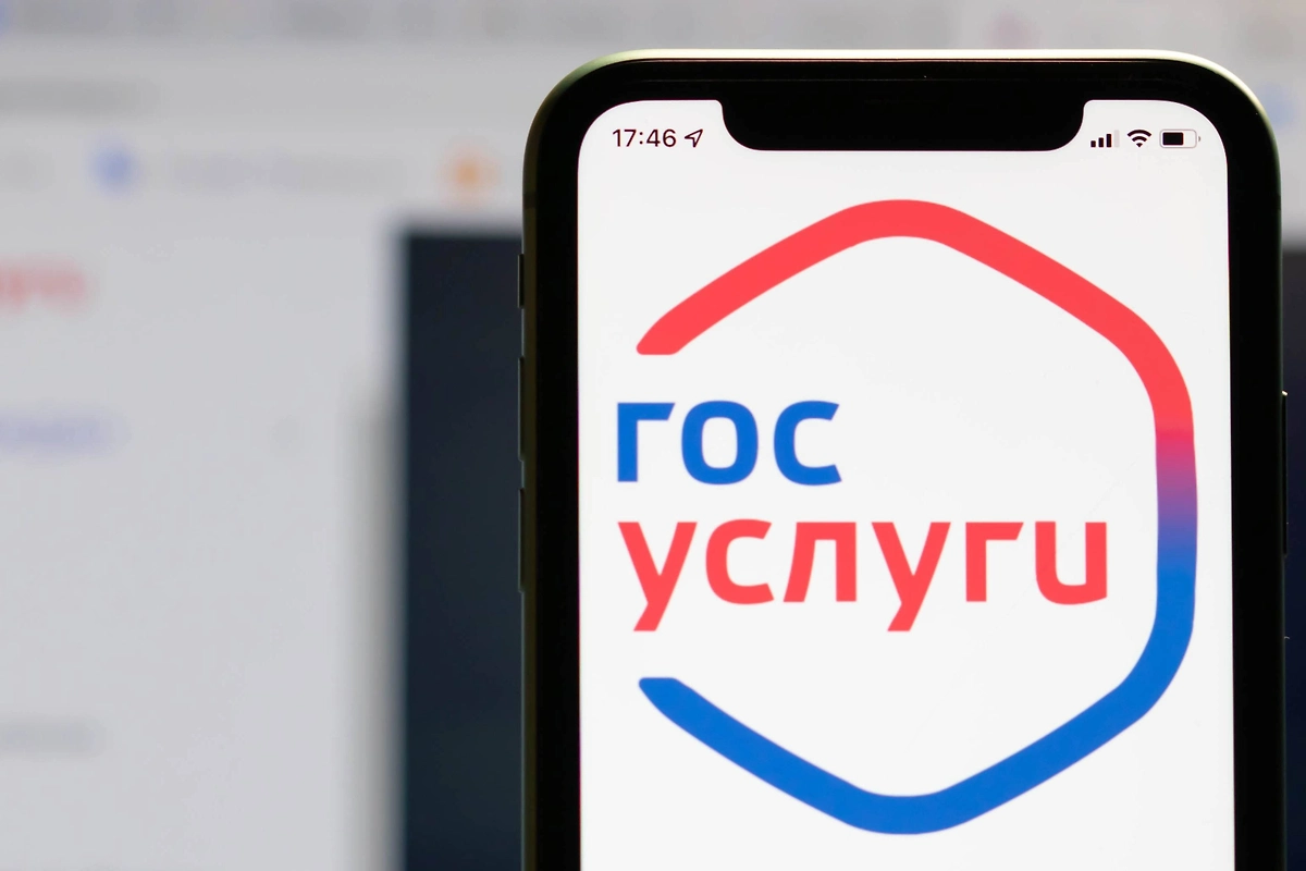 Сайт «Госуслуги». Фото © Shutterstock / FOTODOM / 