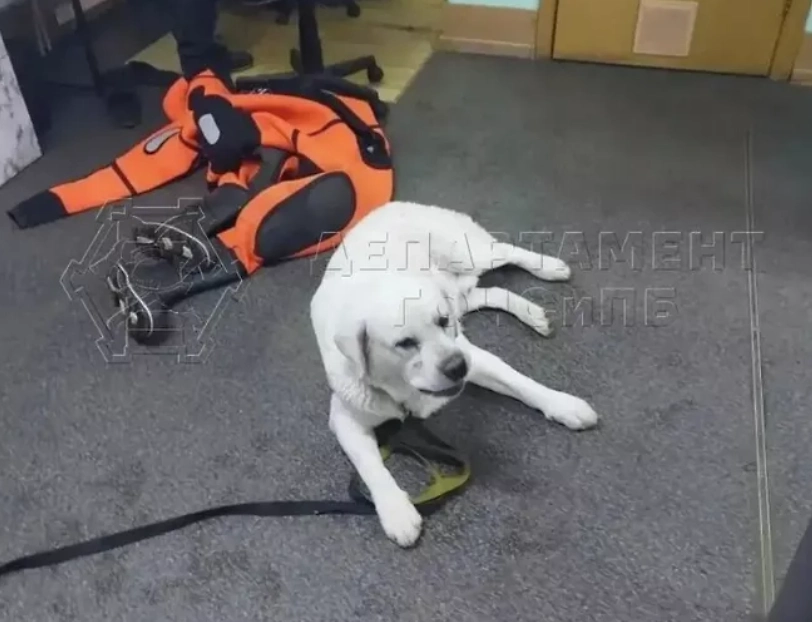 Фото © Пресс-служба Департамента ГОЧСиПБ