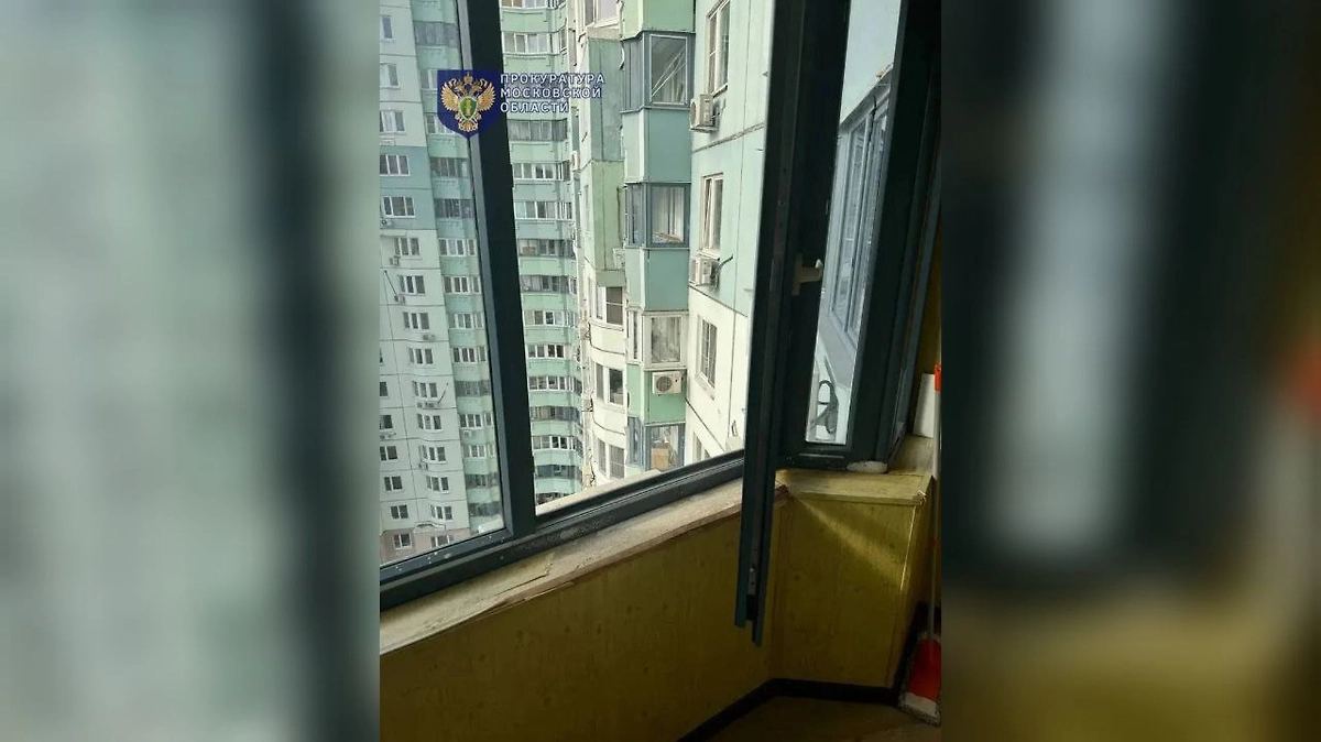 Вид из квартиры стриптизёра, который убил сожительницу в Красногорске. Фото © Прокуратура Московской области