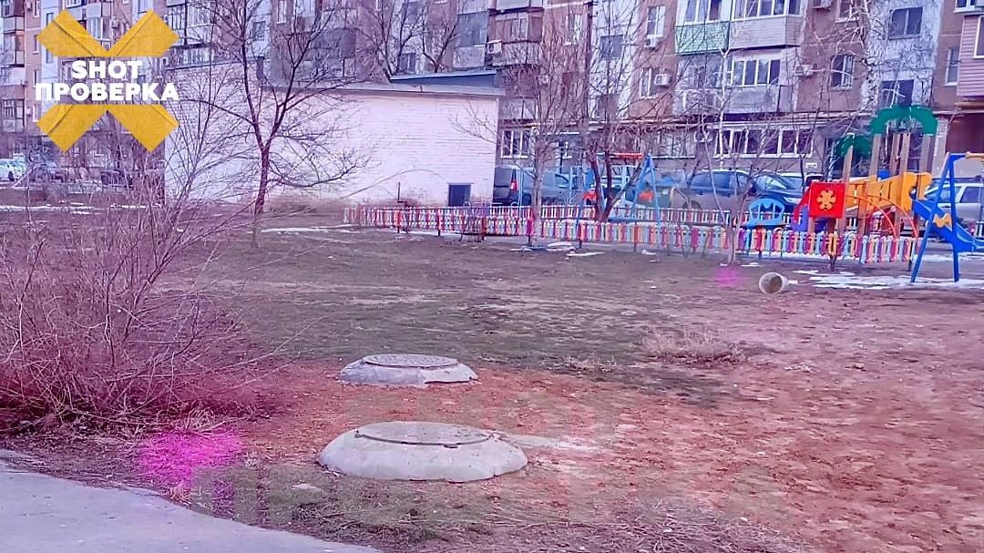 Целая банда догхантеров терроризирует животных в Волгоградской области. Фото © Telegram / SHOT ПРОВЕРКА