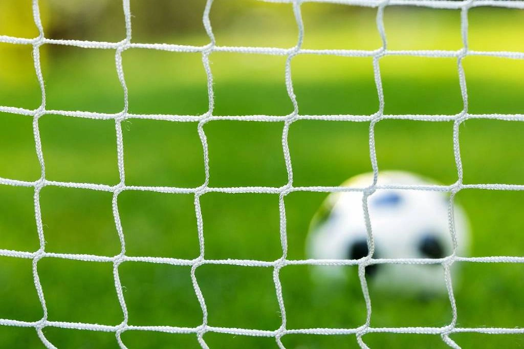 Обложка © Shutterstock / FOTODOM / ronstik