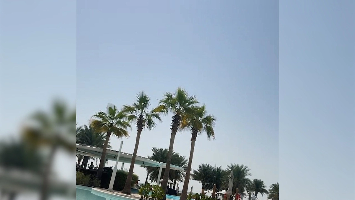 Обложка © SHOT