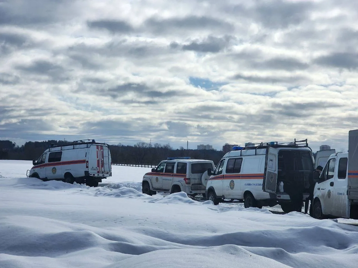 В Звенигороде расширили зону поисков пропавших 7 марта детей
