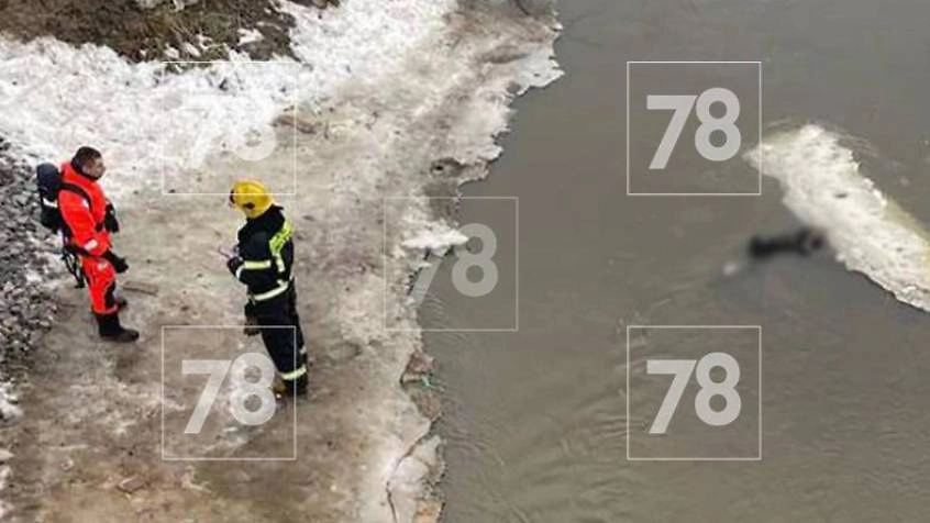 Труп молодой девушки. Фото © 78.ru