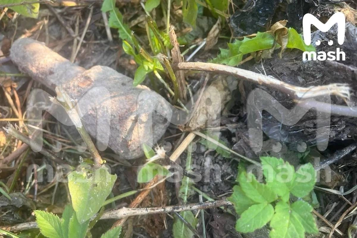 Опасные артефакты войны находят спустя 80 лет после Победы. Фото © Telegram / Mash