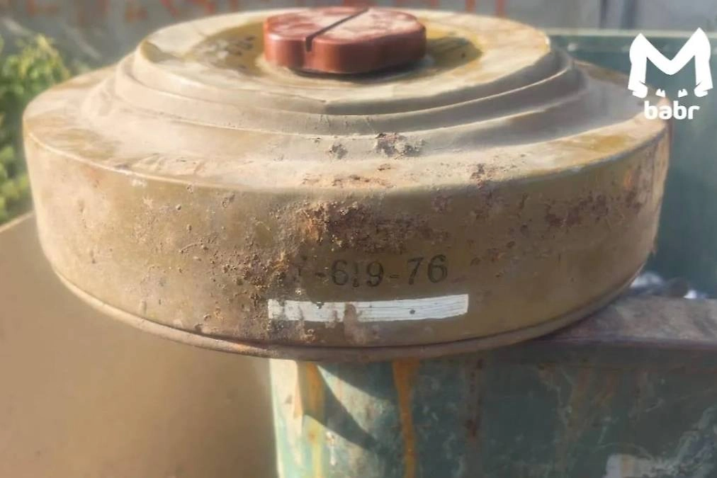 От авиабомб до человеческих останков: военные артефакты в России. Фото © Telegram / Babr Mash