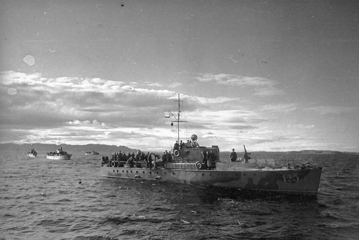 Как война напоминает о себе спустя 80 лет: находки по всей стране. Фото © Российское военно-историческое общество / Евгений Халдей