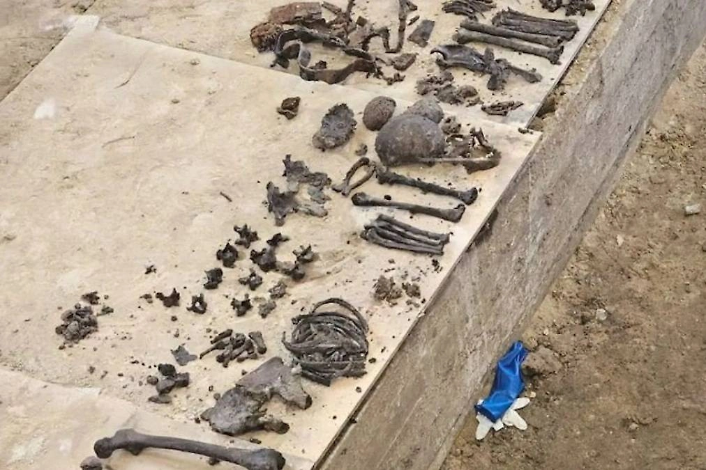 Следы войны в мирное время: самые необычные находки последних лет. Фото © Telegram / 78 | НОВОСТИ