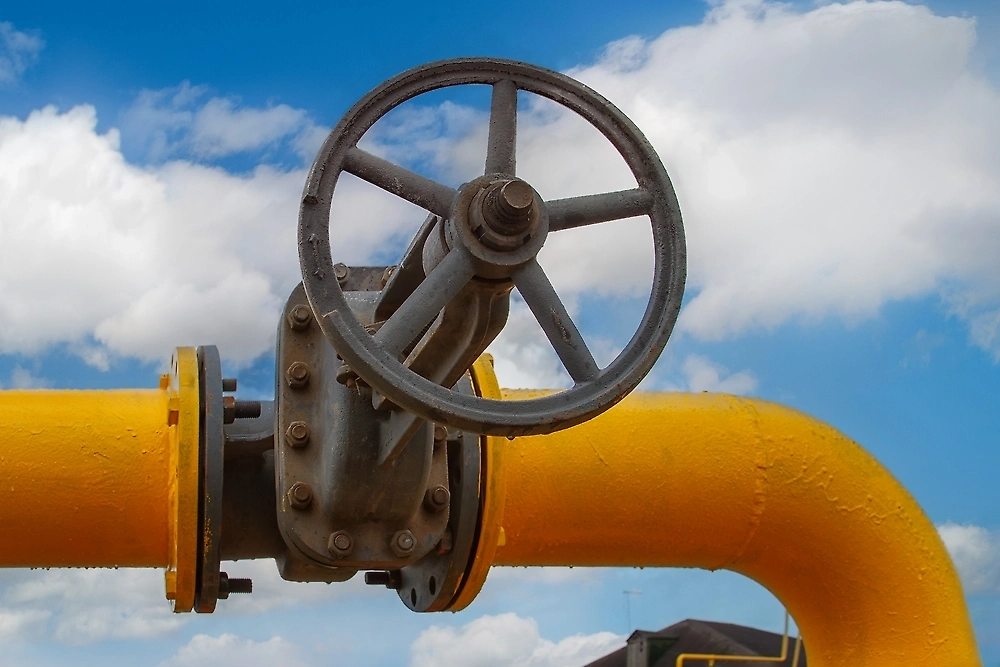 Обложка © Shutterstock / FOTODOM / Pictures of your Life