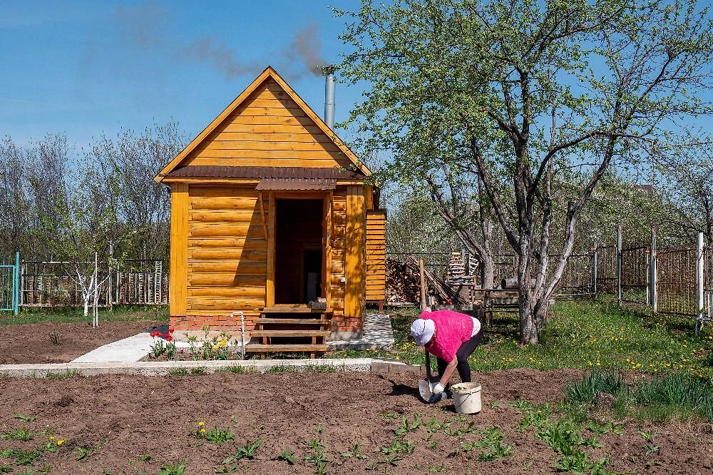 Что и в какие даты сажать в апреле 2026? Огурцы, капуста, цветы. Фото © ТАСС / Оксана Король / Бизнес Online