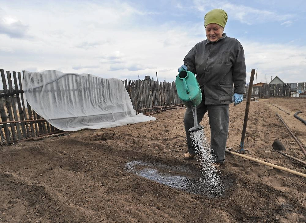 Что сажать в марте 2026: точные даты и что сажать в первый месяц весны? Фото ©&nbsp;ТАСС / Евгений Епанчинцев