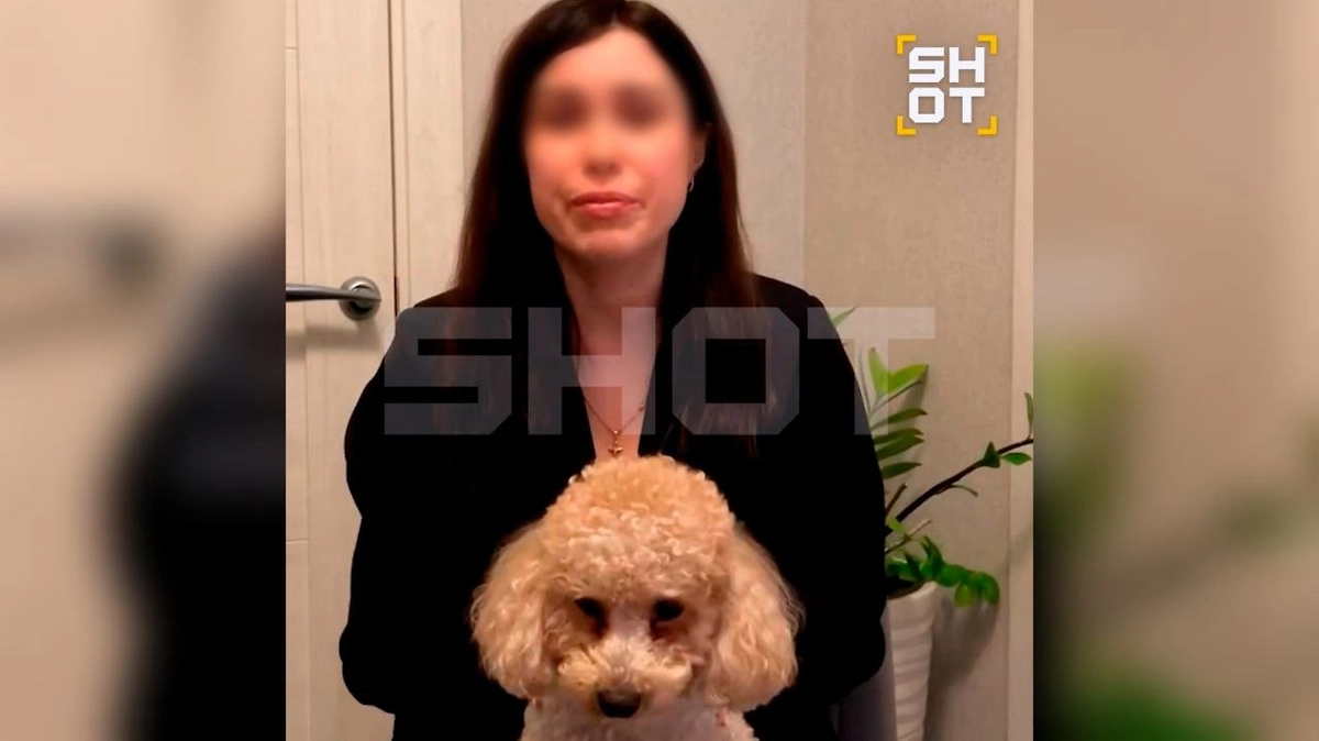 Пострадавшая от нападения корги в Одинцово. Фото © Telegram / SHOT