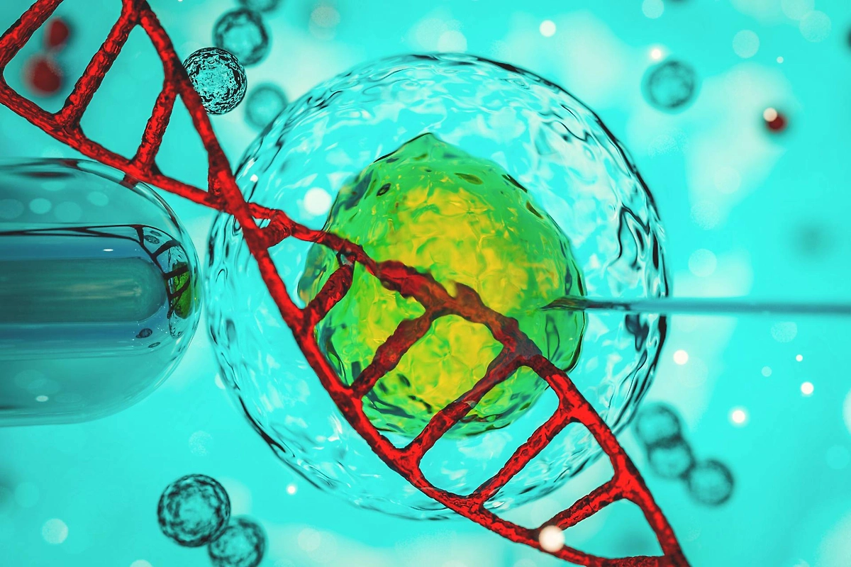 Вызывает ли ЭКО рак? Что об этом говорит современная наука? Фото © Shutterstock / FOTODOM / CI Photos