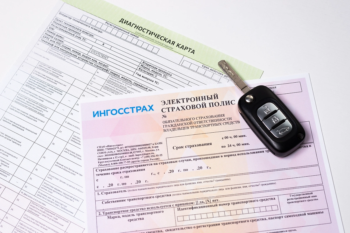 Фото © Shutterstock / FOTODOM / igorykor