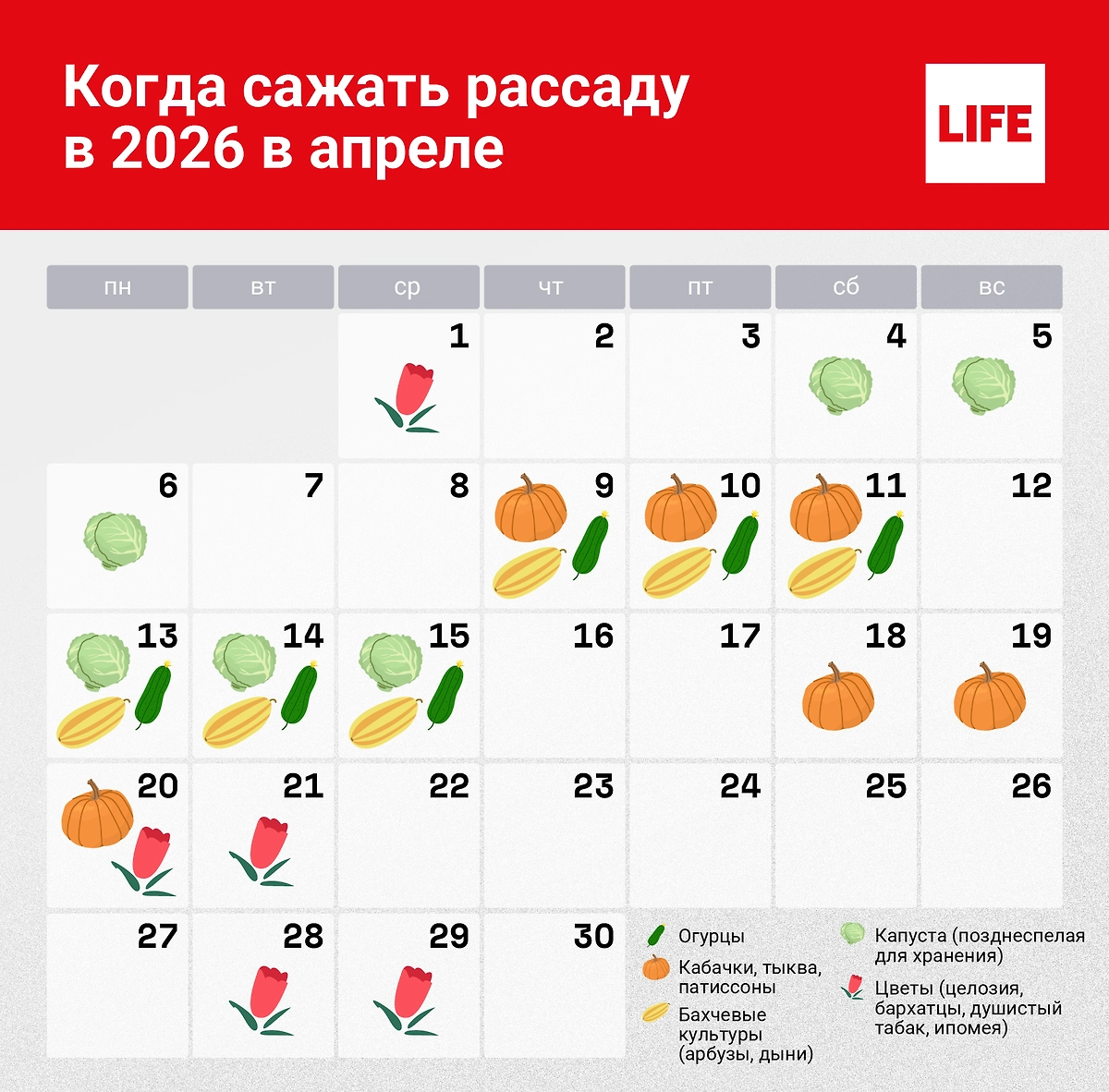 Календарь для рассады на апрель 2026. Инфографика © Life.ru