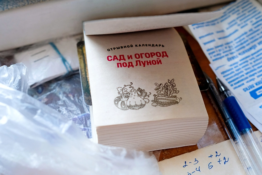 Лунный посевной календарь 2026: какие дни в апреле лучше пропустить? Фото © Shutterstock / FOTODOM / Elena Loginova