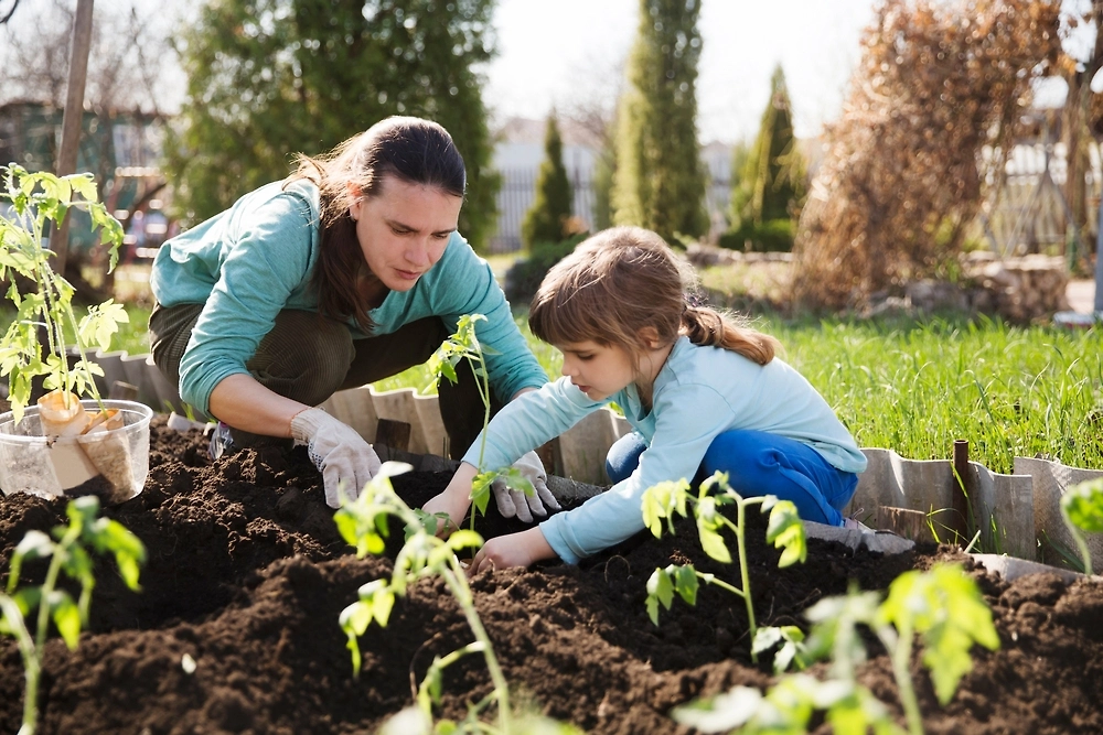 Лунный посевной календарь на апрель 2026: как пользоваться? Фото © Shutterstock / FOTODOM / Ulza