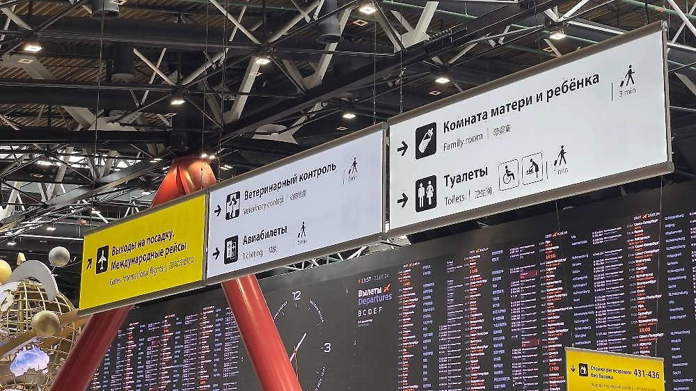 В Пулково задержали и отменили почти 30 рейсов после ограничений
