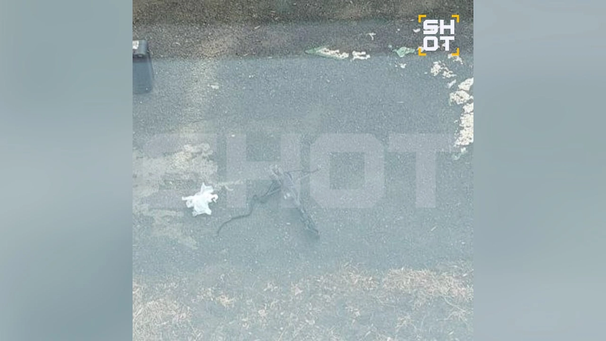 В Челябинске девятиклассник напал на одноклассницу с арбалетом. Фото © Telegram / SHOT