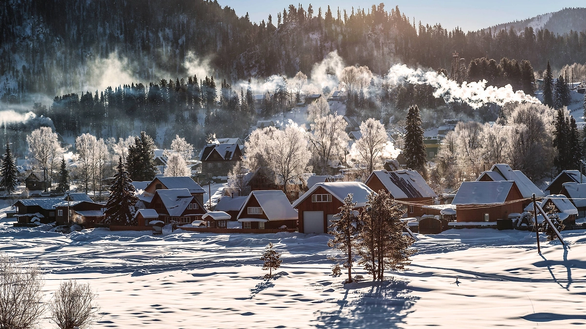 Обложка © Shutterstock / FOTODOM / volkova natalia