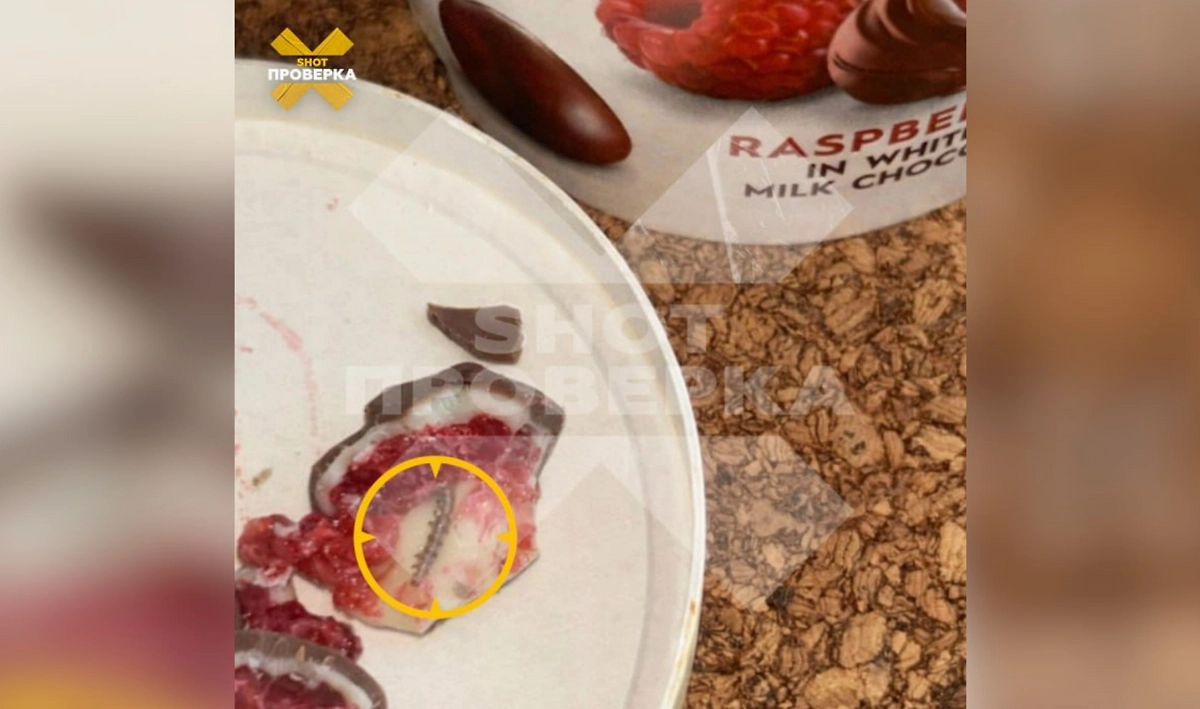 Москвичка нашла гусеницу в десерте. Фото © SHOT ПРОВЕРКА