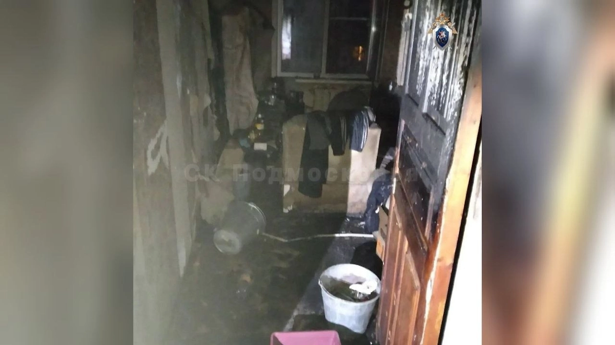 В Подмосковье при пожаре в квартире погиб годовалый ребёнок. Фото © Telegram / СК Подмосковья