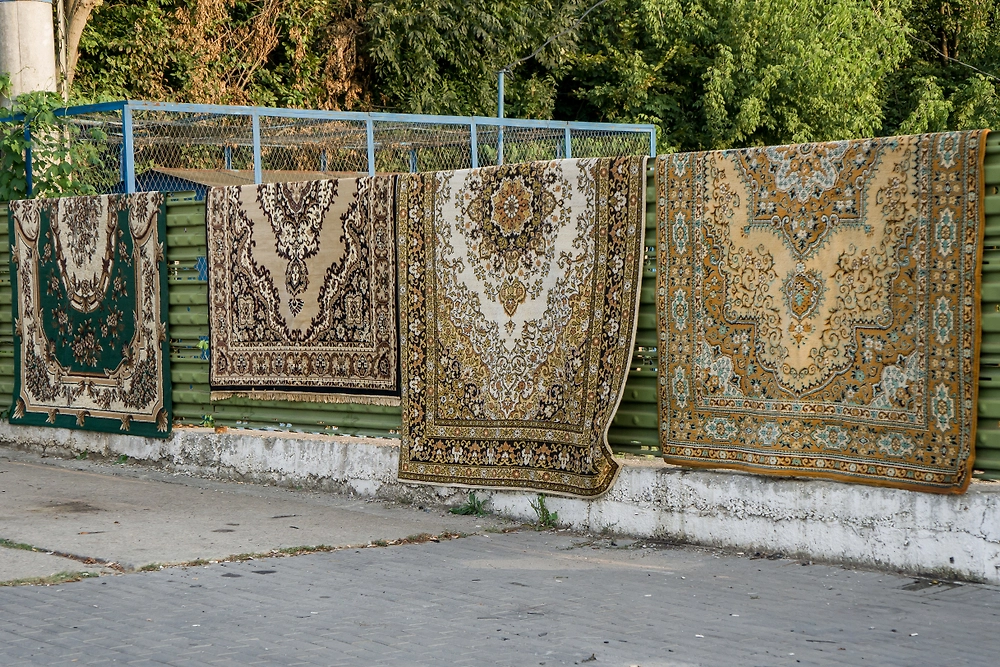 Обложка © Shutterstock / FOTODOM / Kostiantyn Batylchuk