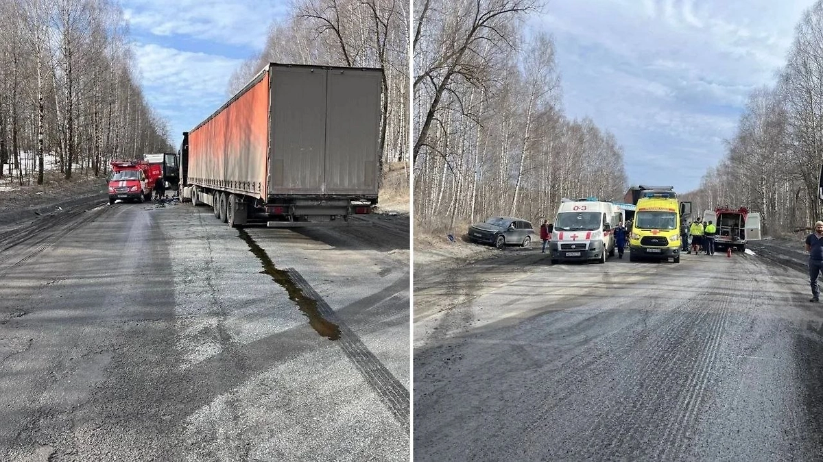 В Челябинской области микроавтобус столкнулся с грузовиком, один человек погиб. Фото © Telegram / Полиция Южного Урала