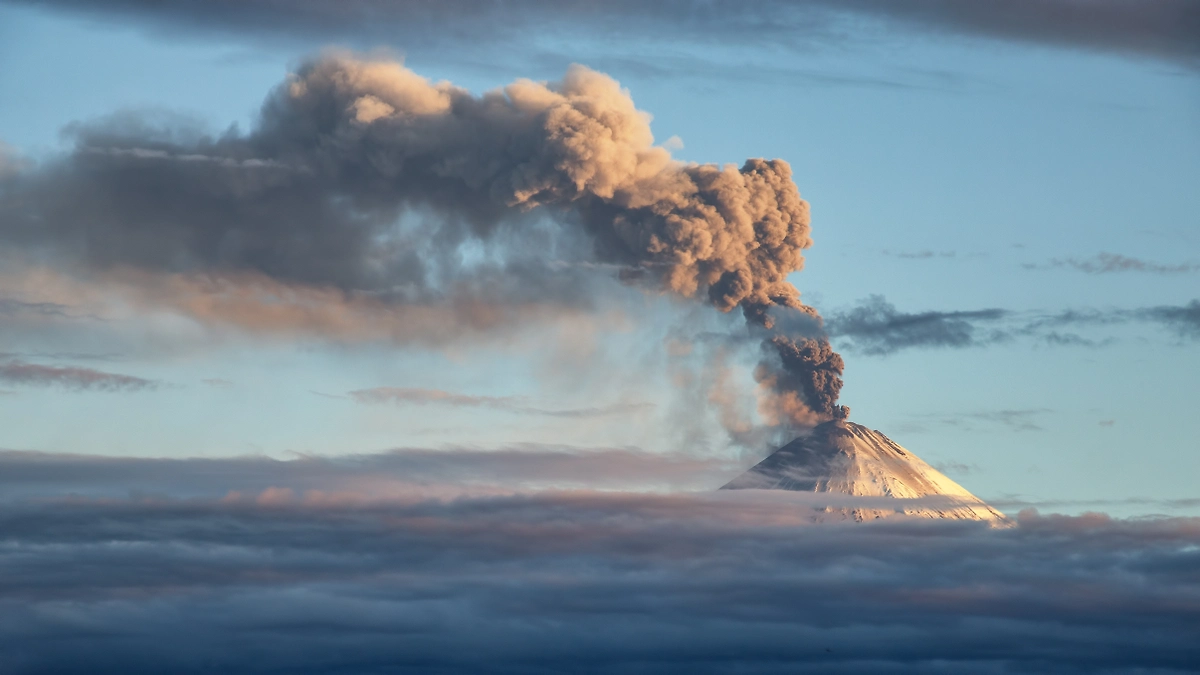 Обложка © Shutterstock / FOTODOM / GENNADY TEPLITSKIY