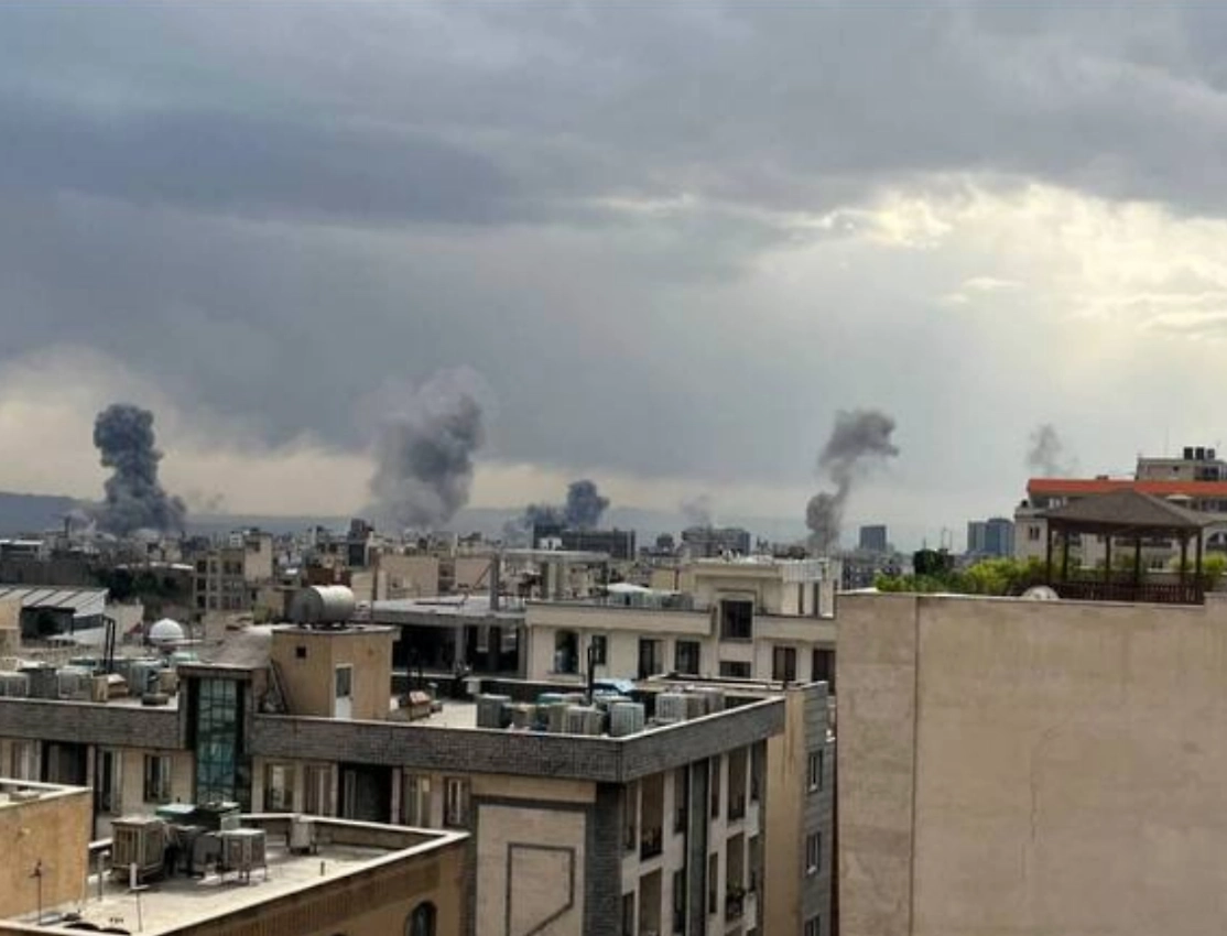 Обложка © X / Ozzie Phoenician