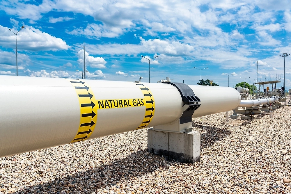 Обложка © Shutterstock / FOTODOM / sdf_qwe