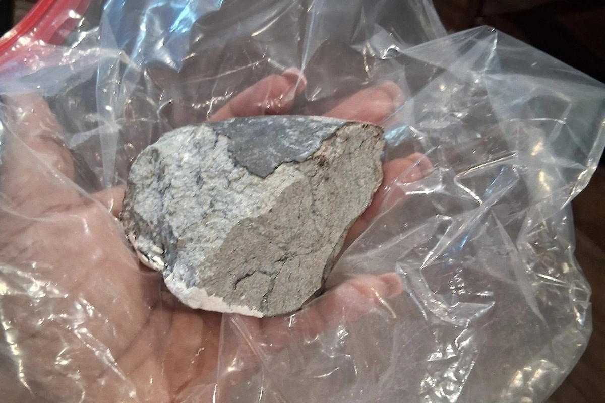 Обложка © X / Gage Goulding - KPRC 2