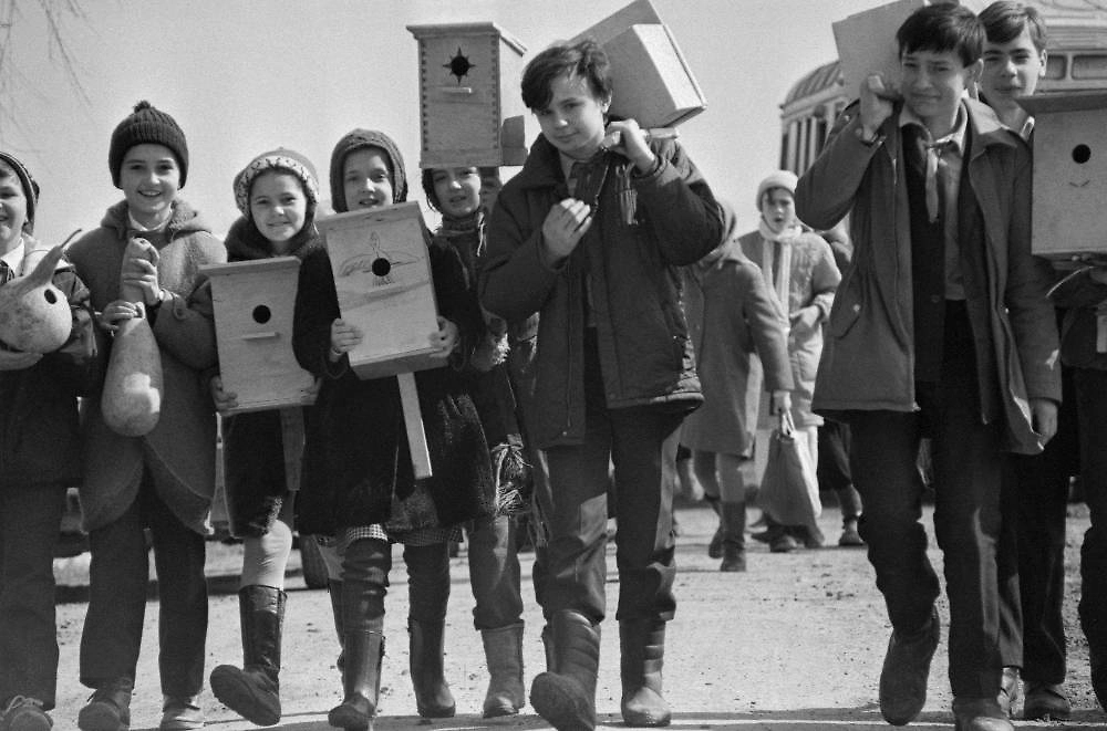 Уроки труда: как учили в СССР и чем увлекаются дети сегодня? Фото ©&nbsp;ТАСС / Воронин Сергей