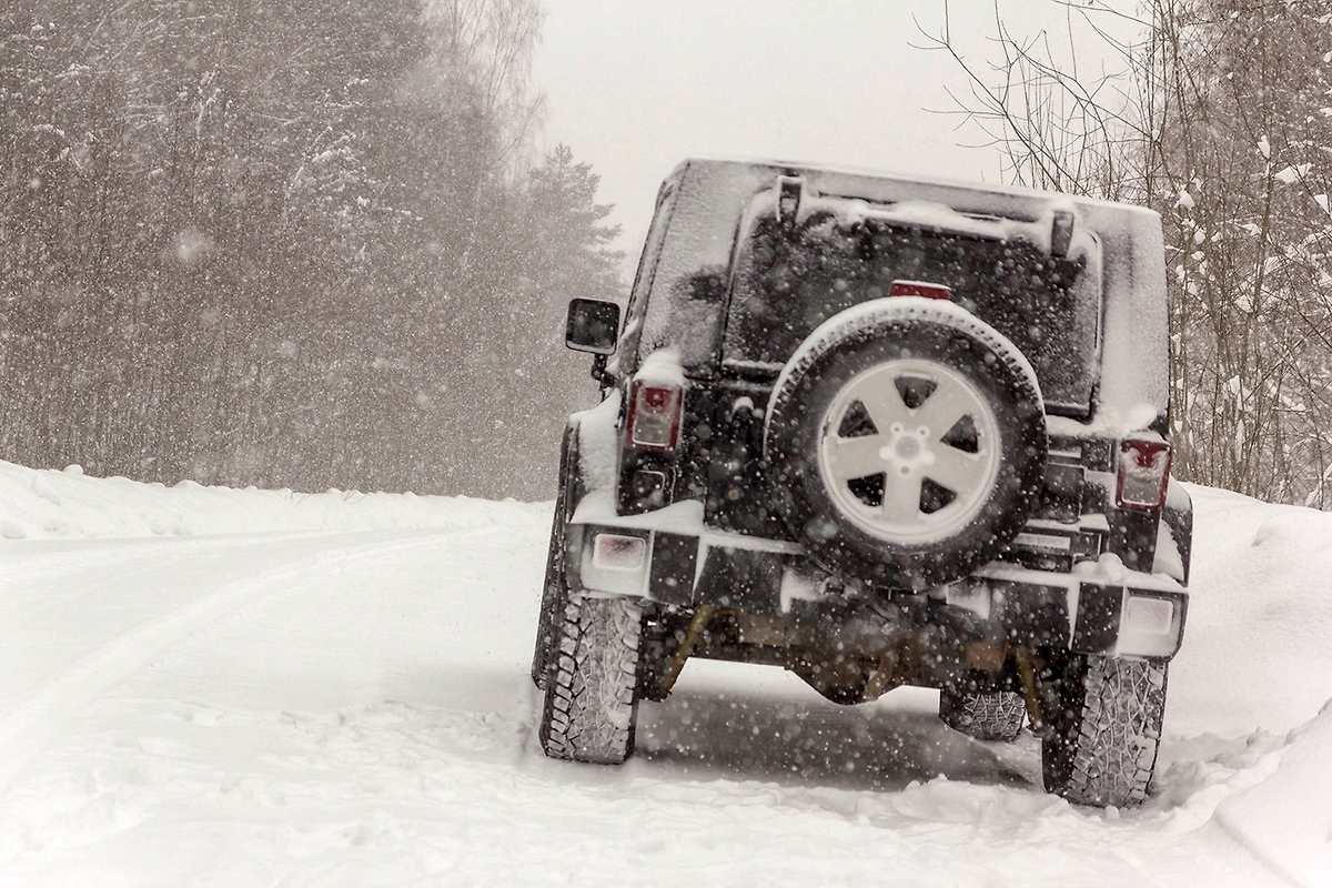Обложка © Shutterstock / FOTODOM / Pavel Vaschenkov