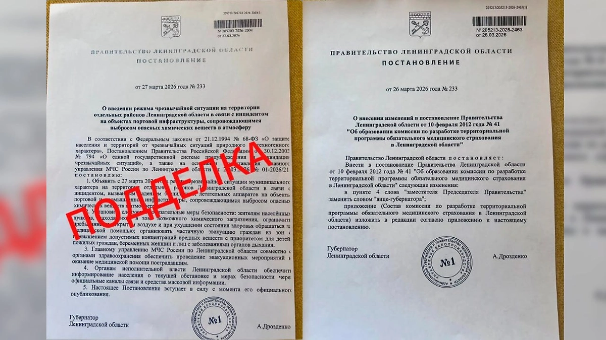 Дрозденко сообщил о фейке с введением режима ЧС в Ленобласти. Фото © Telegram / Александр ДроZденко