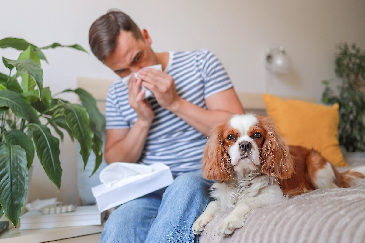 Обложка © Shutterstock / FOTODOM / SvetlanaParnikova