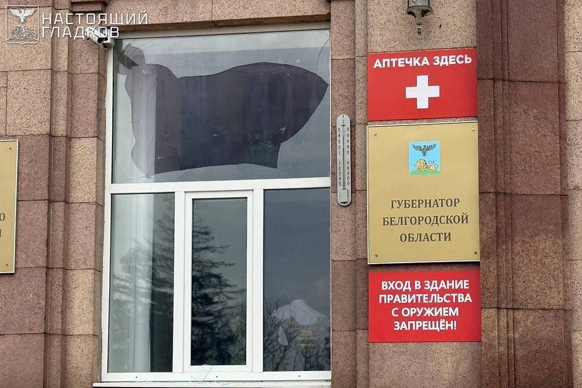 Обложка © Telegram / «Настоящий Гладков»