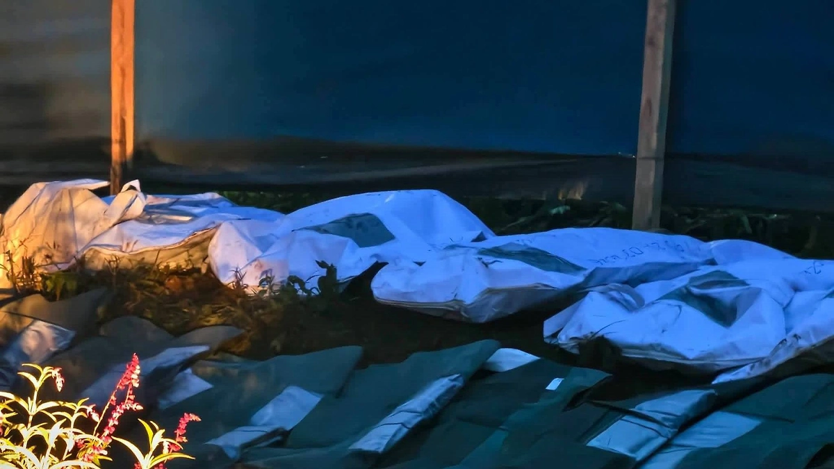 В Кении нашли братскую могилу с десятками тел на территории церковного совета. Фото © Х / ETAYA TV