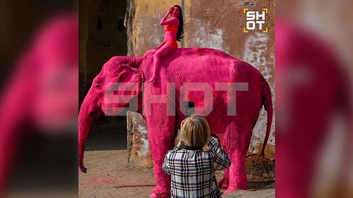 Россиянку в Индии обвинили в жестокости после покраски слона в розовый для фотосессии. Фото © Telegram / SHOT