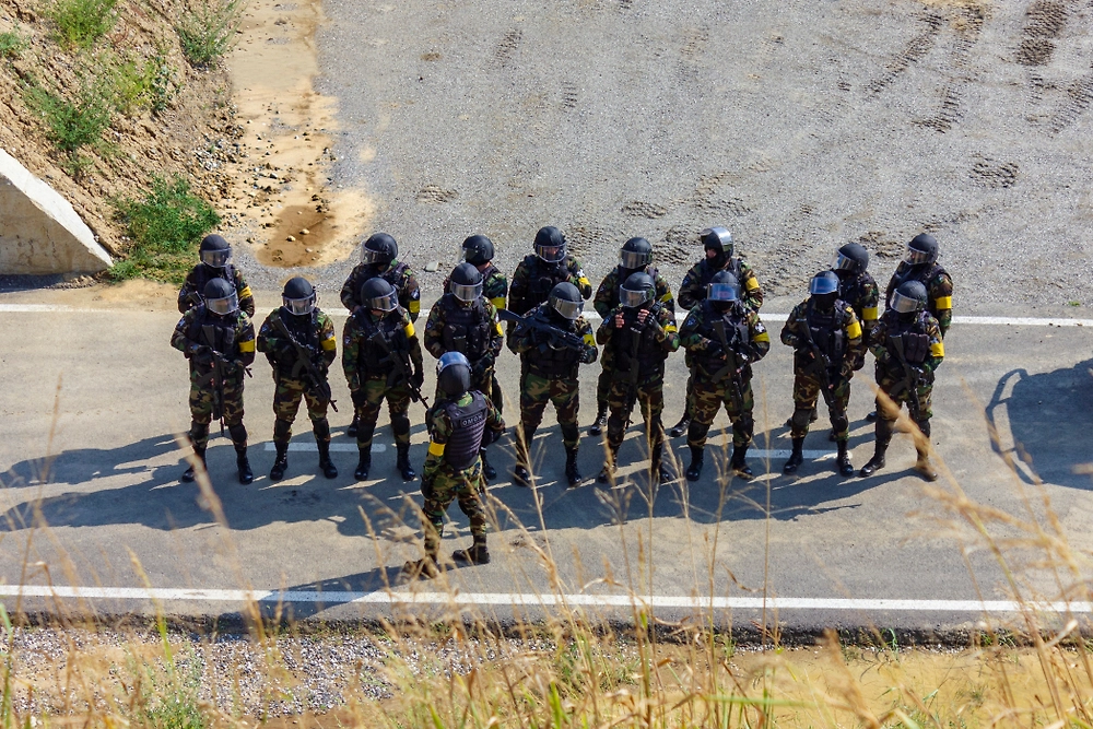 Обложка © Shutterstock / FOTODOM / Mosab Bilto