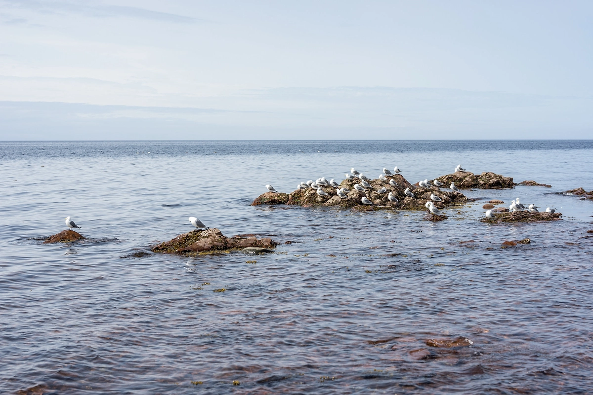 Обложка © подпись