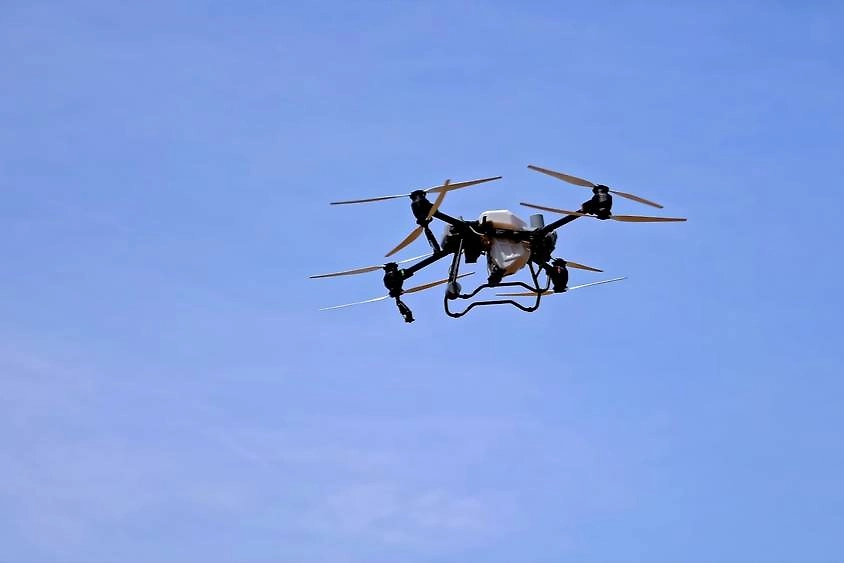 Обложка © Shutterstock / FOTODOM / Ira.foto.2024