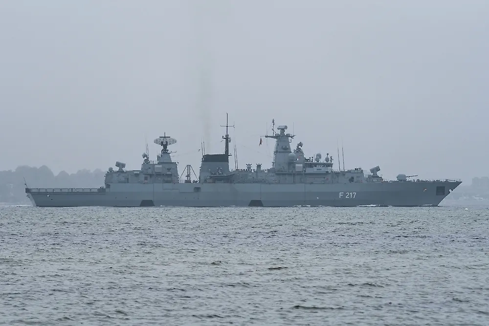 Обложка © Shutterstock / FOTODOM / Bjoern Wylezich