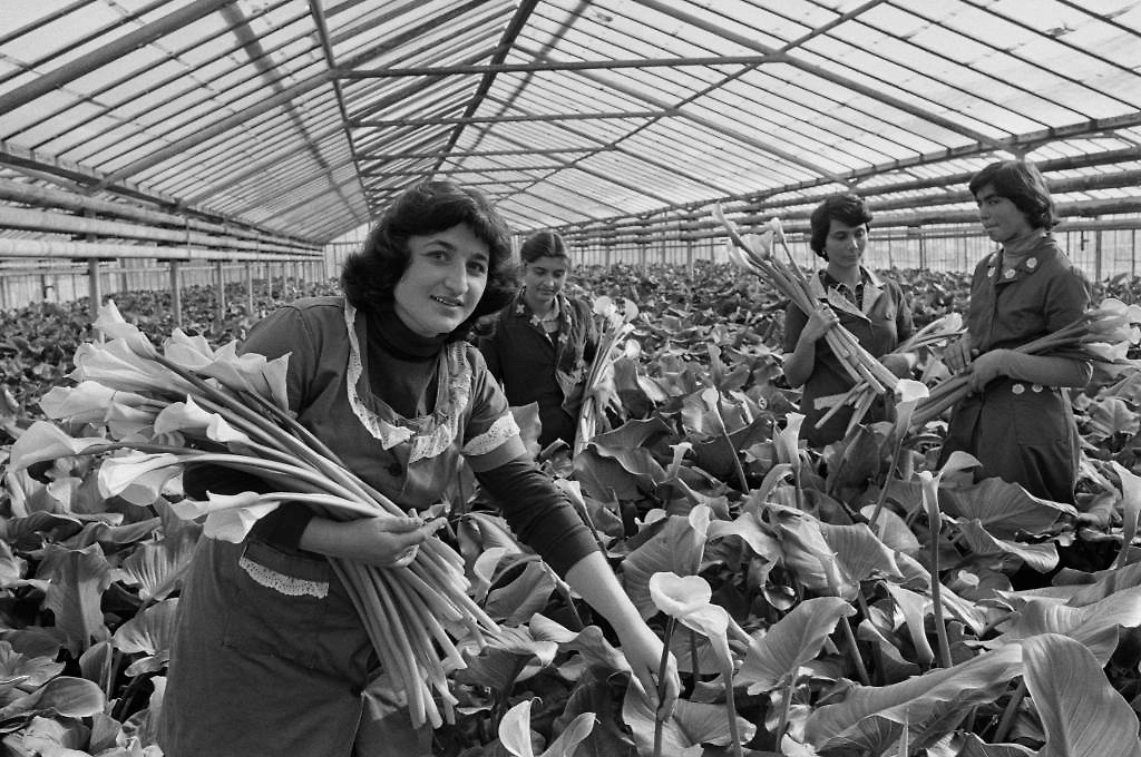 Как праздновали 8 Марта в СССР: традиции подарков и дефицита. Фото © ТАСС / Яшар Халилов